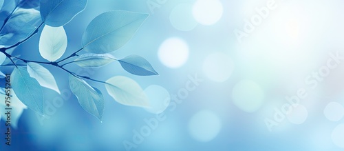 Soothing Blue Background Enveloped in Lush Green Leaves and Softly Blurred Texture