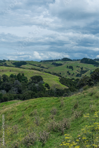 landscape with sky