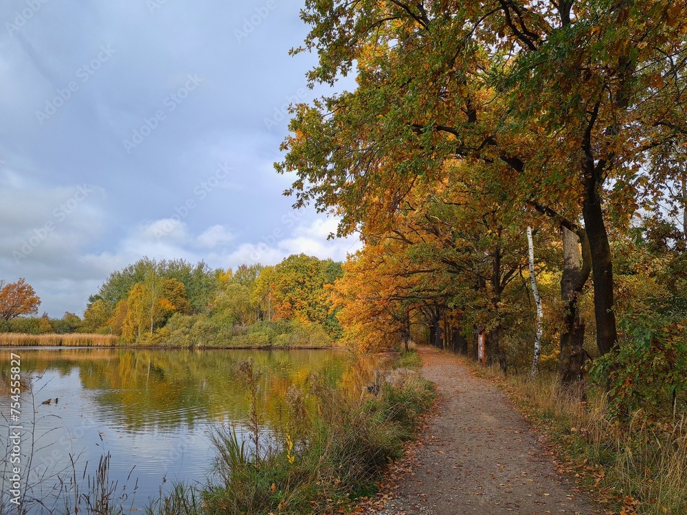 Autumn nature Autumn nature