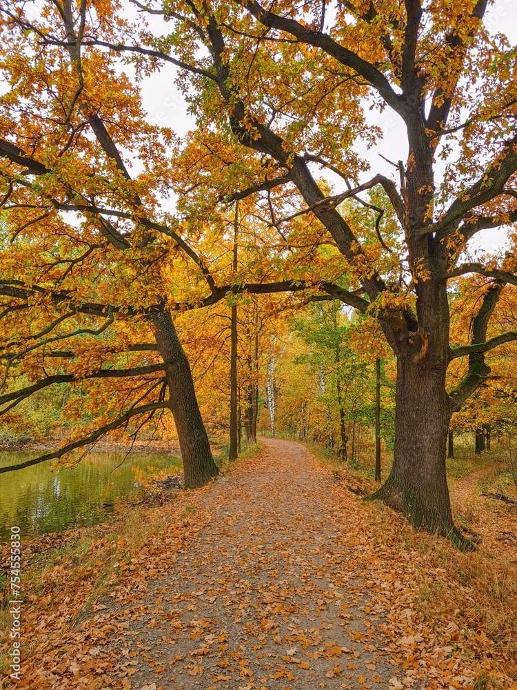 Naklejka premium Autumn nature