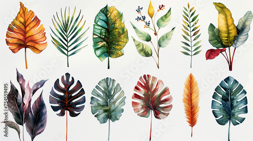 set of different leaf icons on white background , Tropical green flowers and leaves exotic set of isolated element greeting cards , covers, banners and posters for walls, beautiful paint art	 photo