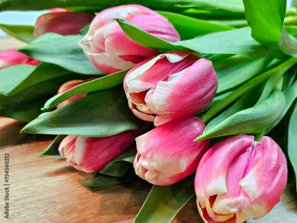 Pink flowers,bouquet the pink tulip Pink flowers,bouquet the pink tulip