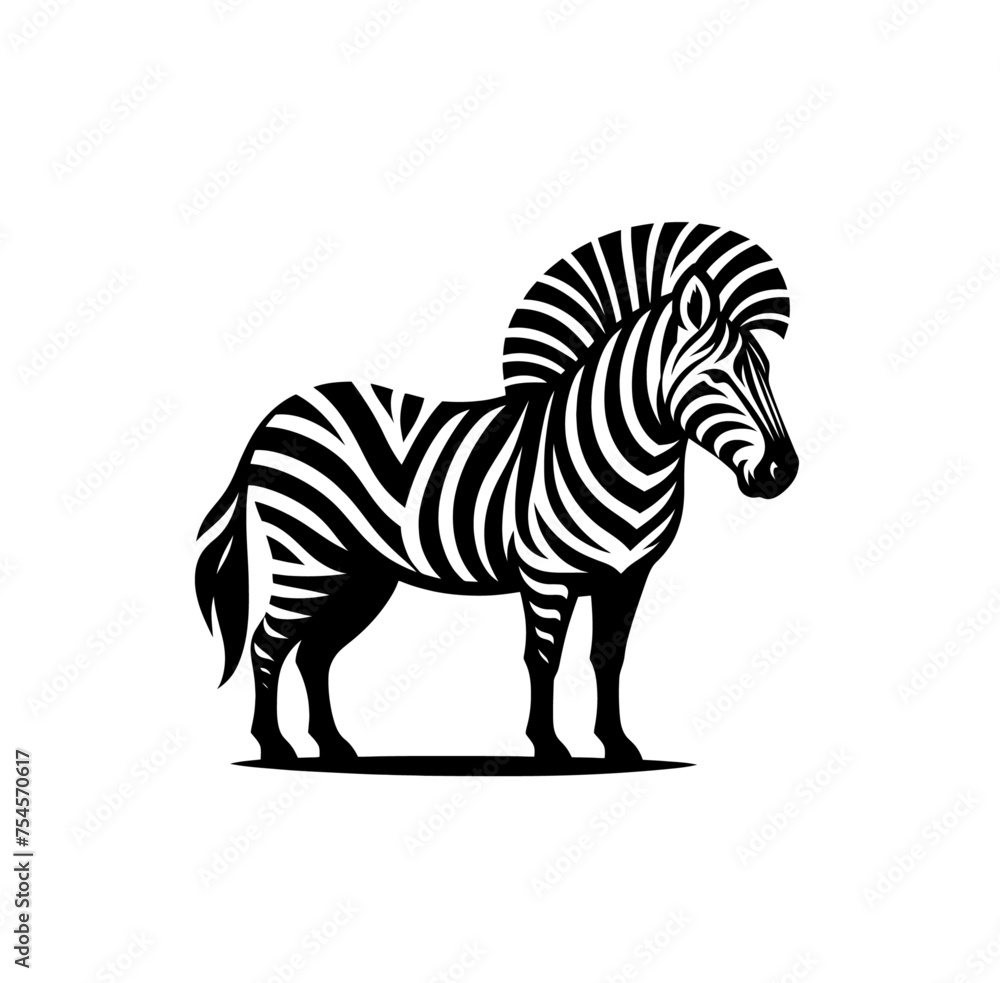 Fototapeta premium Zebra isolated vector illustration