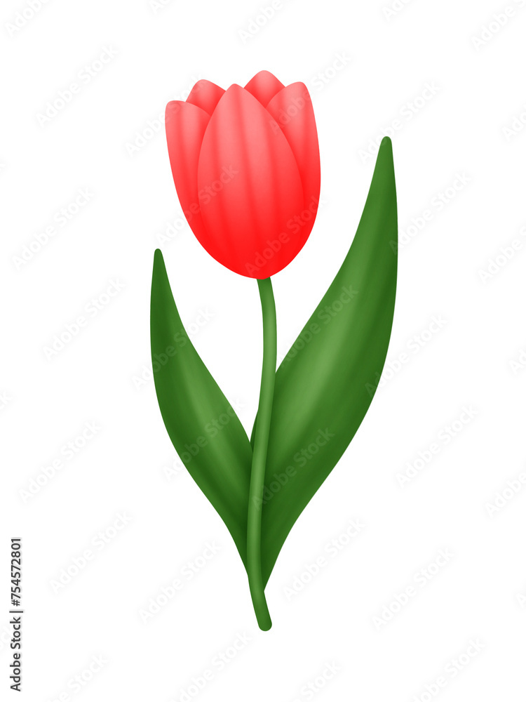 Cute red tulip flower Cute red tulip flower