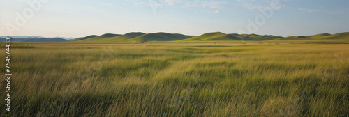 Rolling Green Hills Under Expansive Sky  Serene Landscape  Peaceful Nature. Steppe of Kazakhstan  banner with copy space