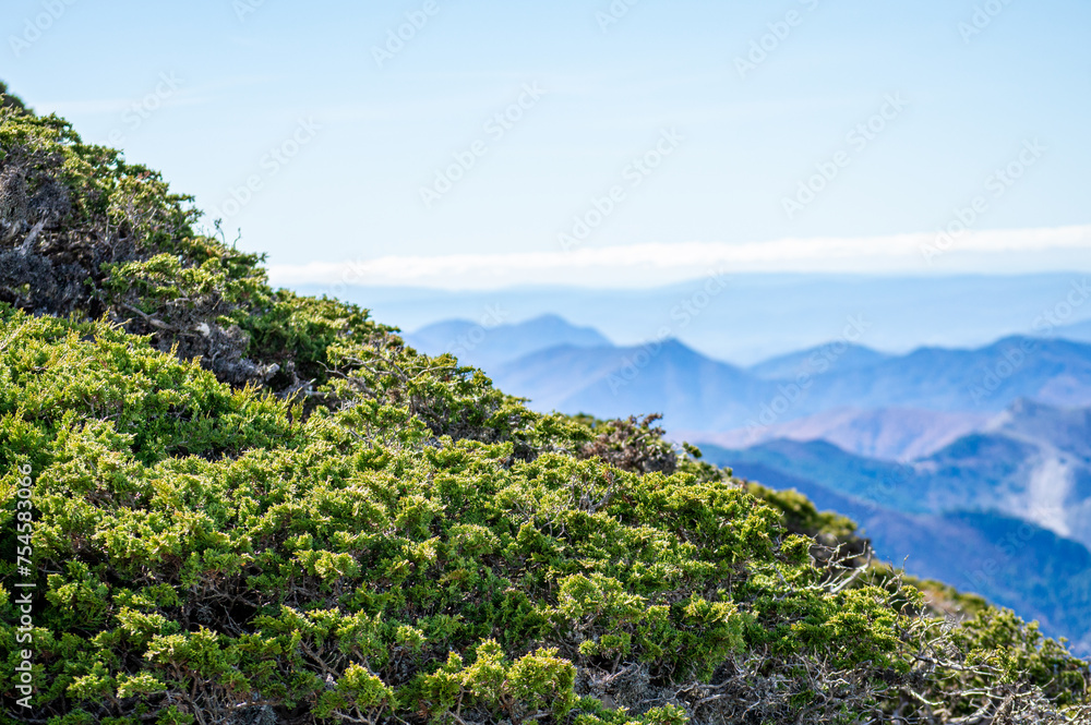 Obraz premium Hiking trail to peak Torrecilla, Sierra de las Nieves national park, Andalusia, Spain
