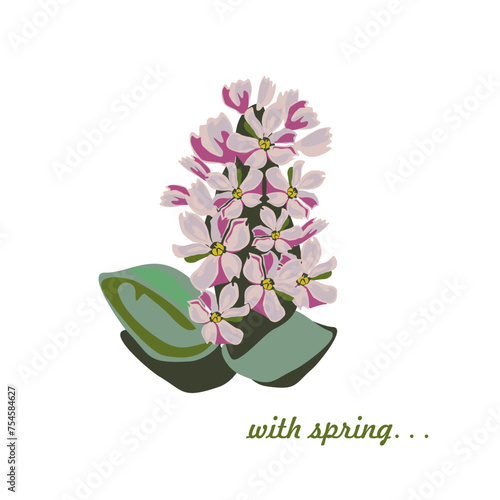 Pattern of delicate purple hyacinth flowers. Background based on inflorescences, leaves and buds of delicate spring flowers. Botanical drawing