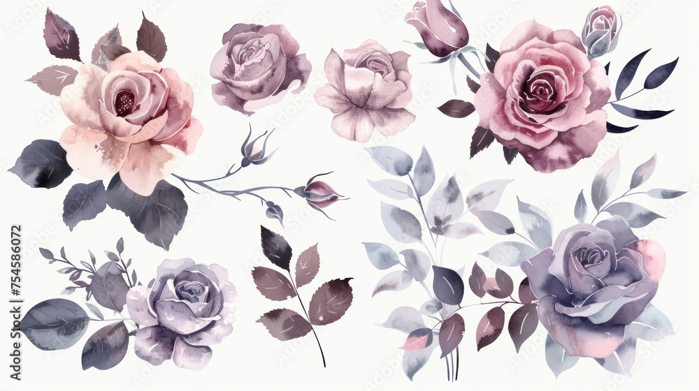 Watercolor set floral collection isolated on white background. AI generated image