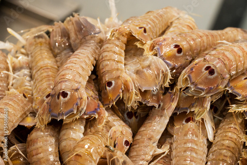 fish market with many different fresh fishes photo