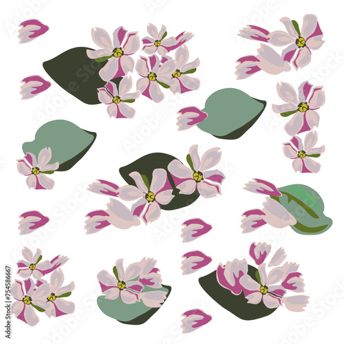 Pattern of delicate purple hyacinth flowers. Background based on inflorescences, leaves and buds of delicate spring flowers. Botanical drawing