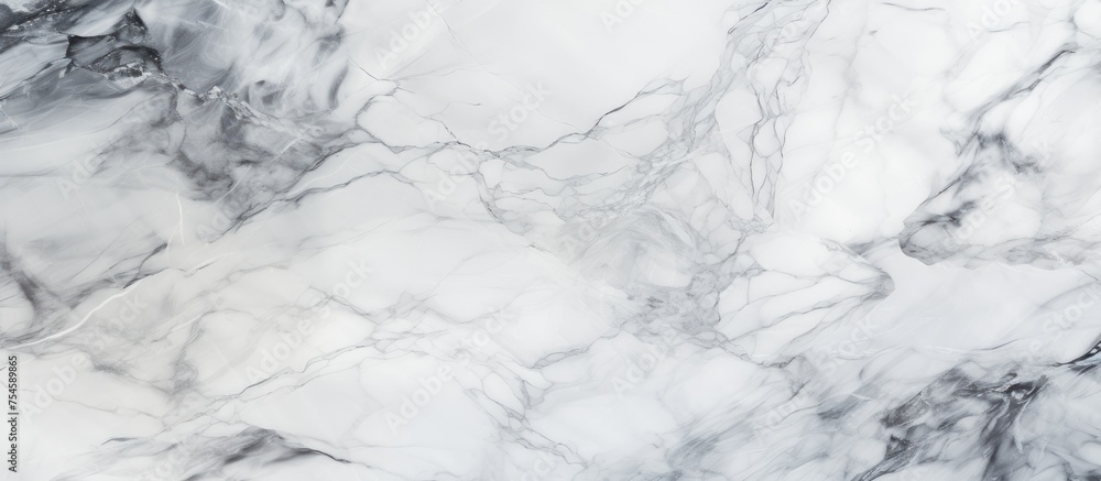 Detailed close-up view of the intricate patterns and veins in a white marble texture. The smooth surface features shades of white and gray, creating a luxurious and elegant aesthetic. Detailed close-up view of the intricate patterns and veins in a white marble texture. The smooth surface features shades of white and gray, creating a luxurious and elegant aesthetic.