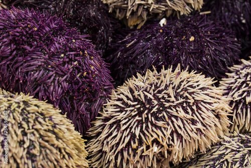 fish market with many different fresh fishes photo