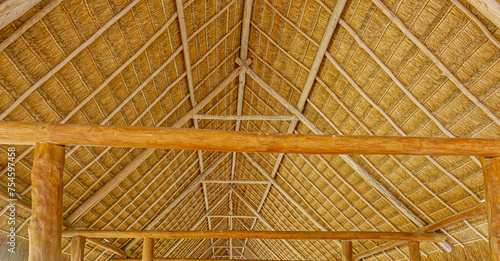 Thatched Roof with Beams © dbvirago