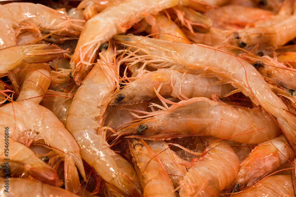 fish market with many different fresh fishes fish market with many different fresh fishes