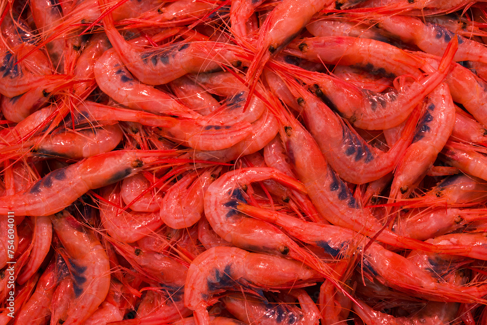 fish market with many different fresh fishes fish market with many different fresh fishes