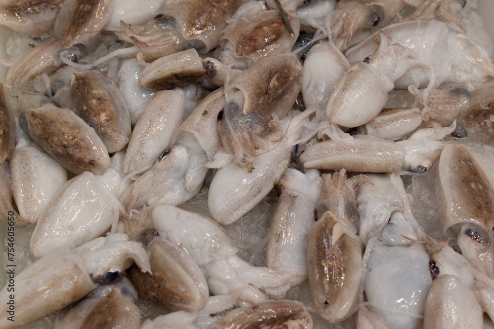 fish market with many different fresh fishes fish market with many different fresh fishes