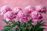 a lot of Buds of beautiful fresh peonies lie on a light milky Cyclorama, uncluttered, top view, elegance, aesthetic, style, minimalism, beauty