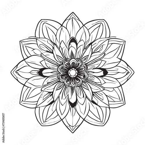hand drawn illustration of dahlia flower