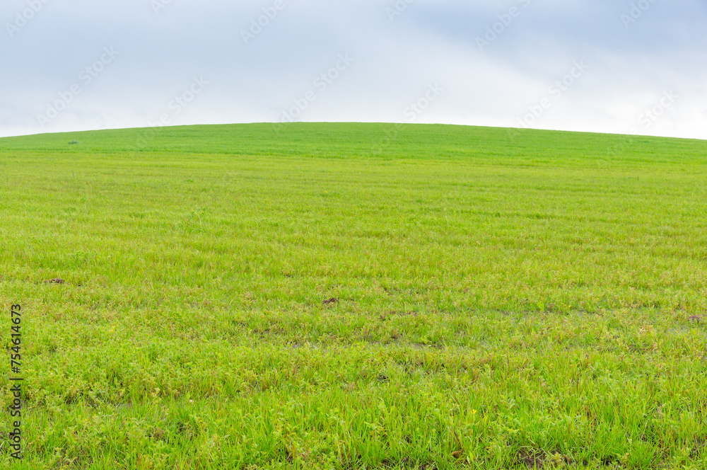 Vertical Perspective: Green Hill on a Cloudy Day. Vertical Perspective: Green Hill on a Cloudy Day.
