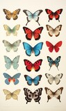 A set of colourful butterflies on white background. 