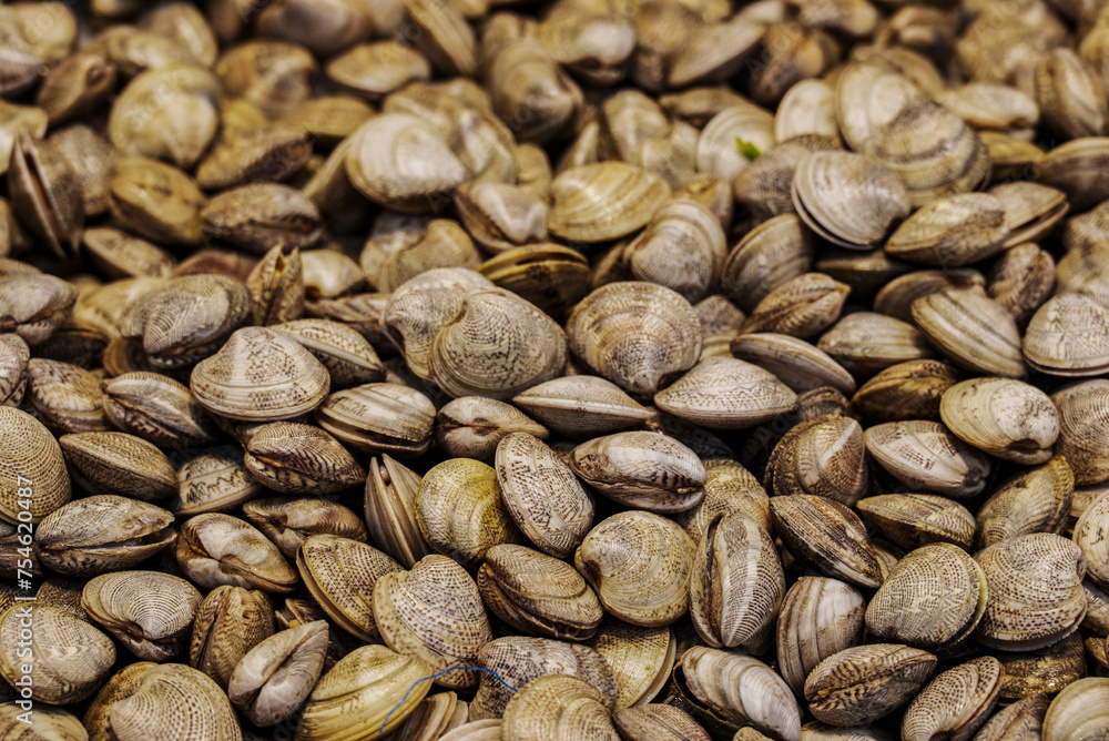Obraz premium Shellfish for sale at a fish market