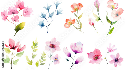 Set of watercolor wildflowers painting isolated on clear png background and transparent background. Fresh and nature concept for nature decorative and flower element, AI generative. 