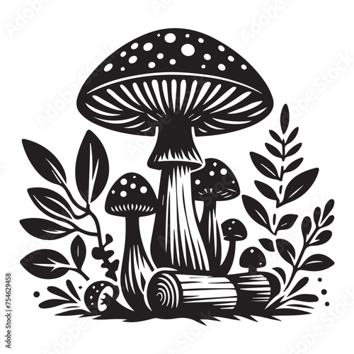 mushrooms in the grass