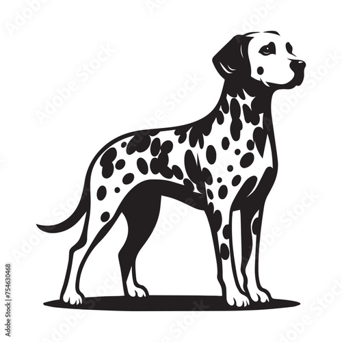 dalmatian dog