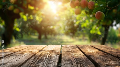 Wooden table top with copy space. Orchard background