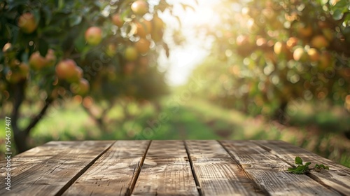 Wooden table top with copy space. Orchard background