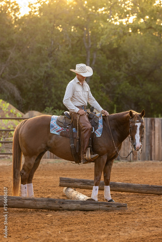 Cowboy Horse Trainer © Terri Cage 