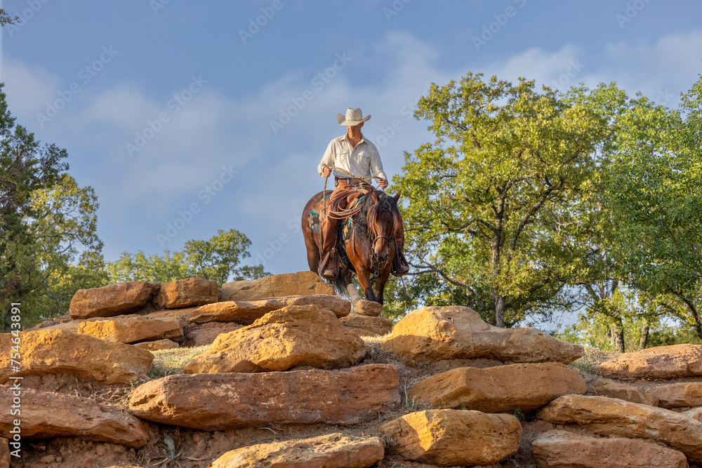 Cowboy Horse Trainer