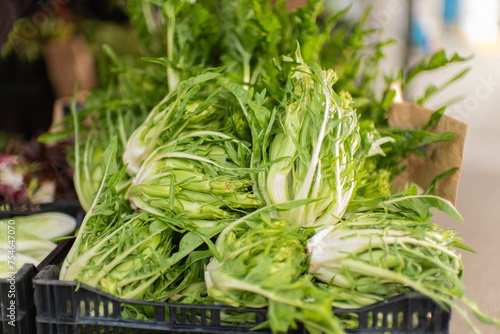 fresh puntarella in the farmers market in San Francisco Ferry building market.