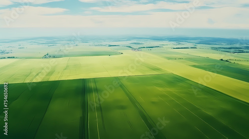 Aerial view of green fields