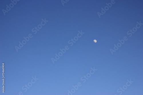moon at sky