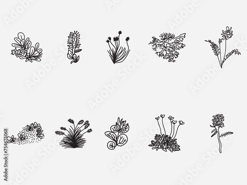 hand drawn tundra plant flower outline doodle icon .Wild north herbs, forest flora with titles isolated on white background 