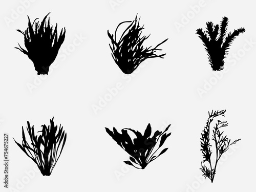 set of aquatic submerged plant silhouette vector illustration .under water plant isolated on white background