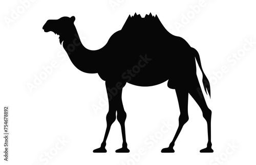 Camel Silhouette black vector isolated on a white background