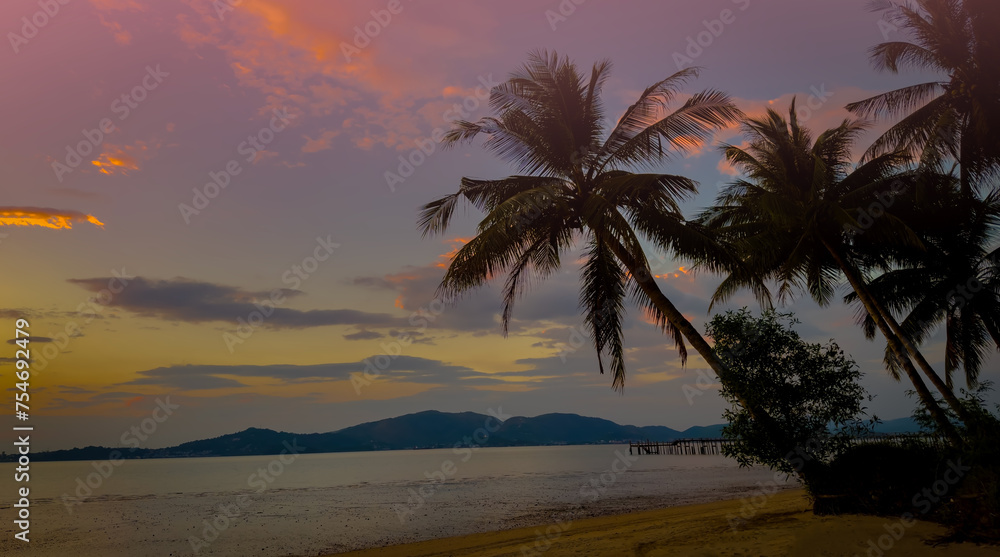Banner Summer with colorful theme as palm trees background as texture frame background Banner Summer with colorful theme as palm trees background as texture frame background