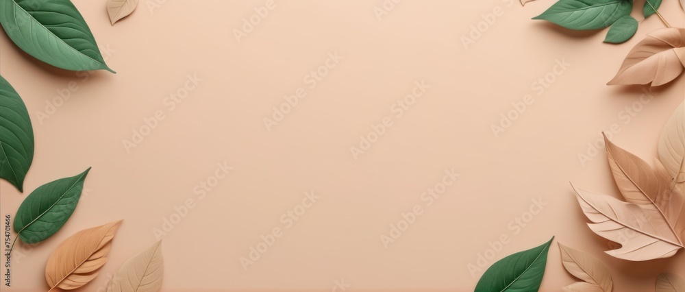 Fototapeta premium leaves background aesthetic minimalism style