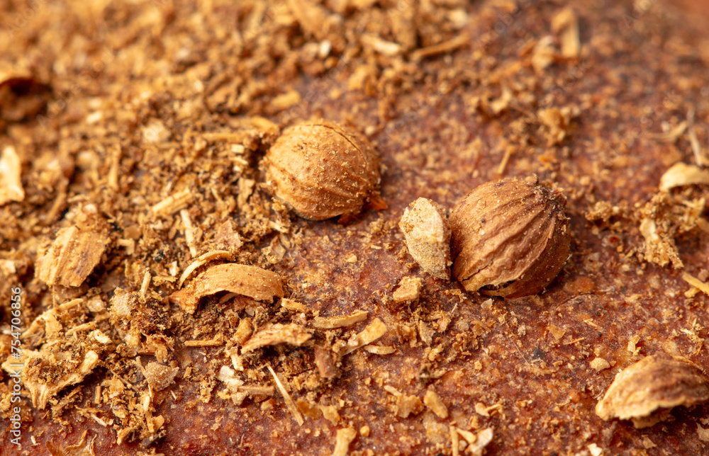 Sesame seeds on the crust of bread. Macro Sesame seeds on the crust of bread. Macro