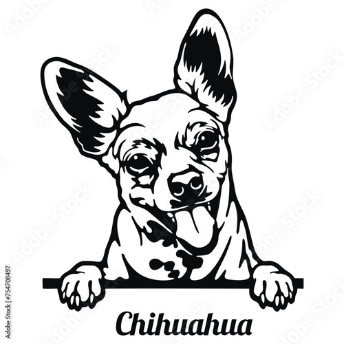 Chihuahua Dog - Peeking Dog Breed - Pet Dog Vector Portrait, Dog Silhouette Stencil