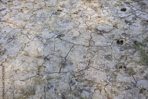 фотографія Dried and cracked ground soil in the drought