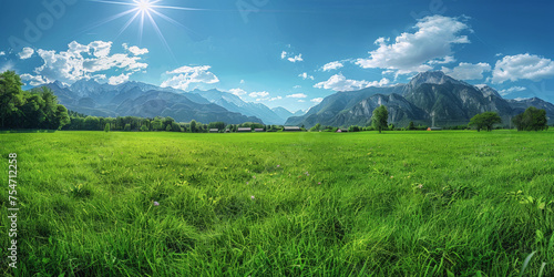 Beautiful green meadow with mountains in the background, a panoramic view of a sunny day with a blue sky, spring nature background