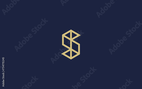 letter s logo icon design vector design template inspiration