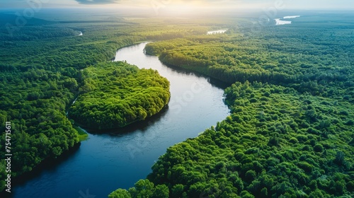 An expansive aerial view of a winding river cutting through lush forests