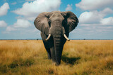 A full body shot of a Elephant