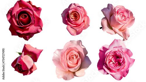 Assorted Pink Roses Bouquet  Vibrant Floral Arrangement in 3D Digital Art - Perfect for Wedding Invitations and Romantic Designs - Top View Isolated on Transparent Background