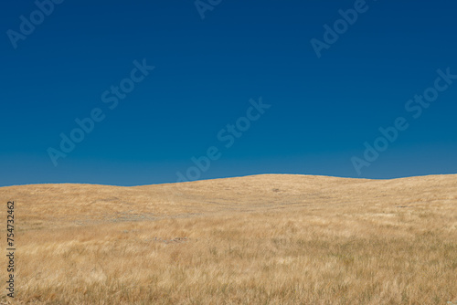meadow and blue sky. USA