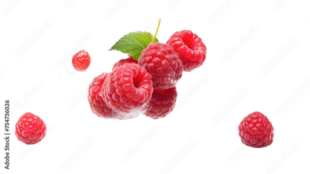 levitating raspberry isolated on a white background levitating raspberry isolated on a white background
